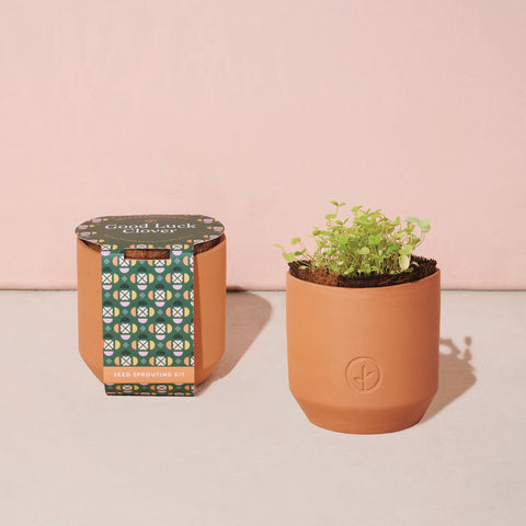 Tiny Terracotta Grow Kits: Good Luck Clover