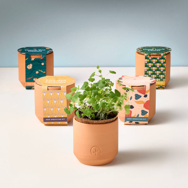 Tiny Terracotta Grow Kits: Good Luck Clover