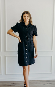 the Ronnie denim dress