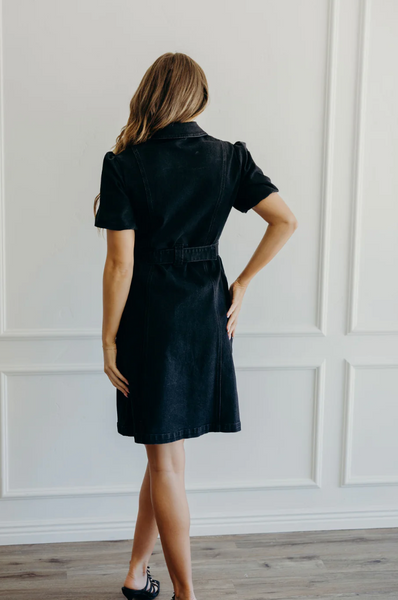 the Ronnie denim dress